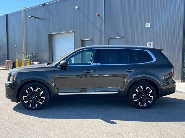 2023 Kia Telluride SX in Cars & Trucks in Kitchener / Waterloo - Image 3