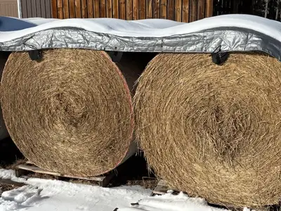 We have ten round bales left over from our personal field inventory for our horses that we won't nee...