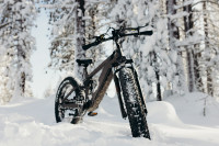 750W Dual Suspension Mountain Ebike Two Years Warranty