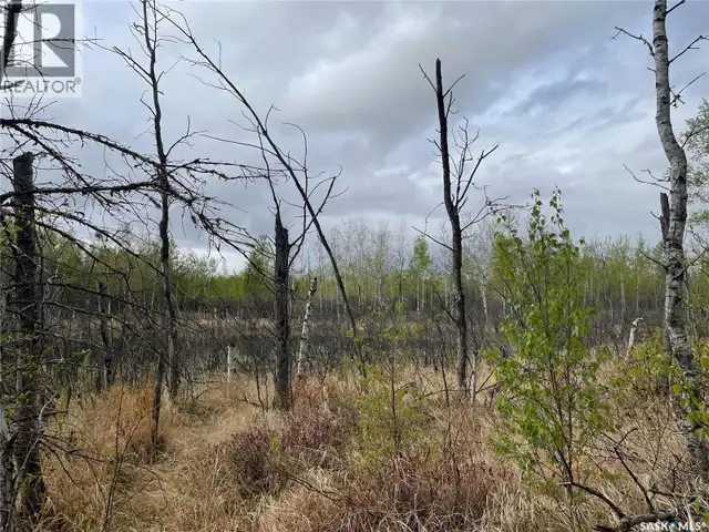 5.5km South of Dorintosh Lot 2 Meadow Lake Rm No.588, Saskatchew in Land for Sale in Meadow Lake - Image 10