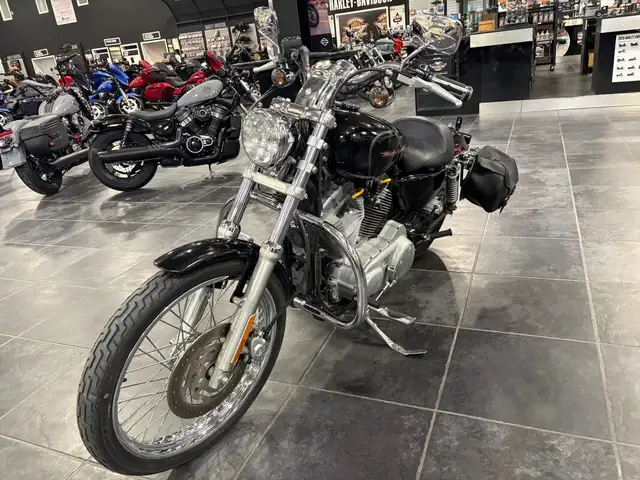 2004 Harley-Davidson Sportster 883 Custom in Sport Bikes in Sudbury - Image 13