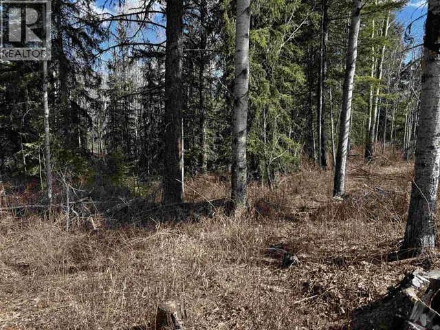 LOT 7 PARKER SUBDIVISION ROAD Fraser Lake, British Columbia in Land for Sale in Burns Lake - Image 5