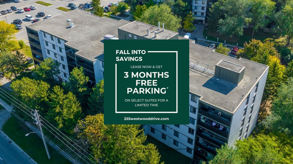 255 & 265 Westwood Rd. 1 Bedroom Apartment for Rent Long Term