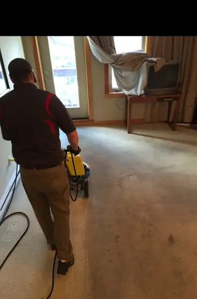 Duct cleaning Carpet cleaner Furnace & dryer vent  416.2.77461.6, View more