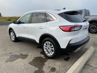 Experience versatility and comfort with the 2022 Ford Escape SE, now available at Centennial Ford Sa... (image 6)