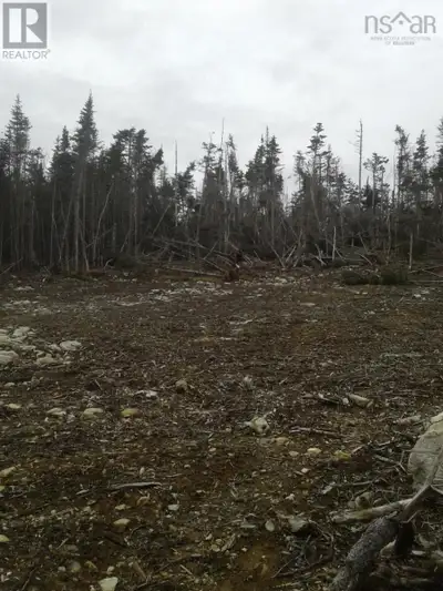 7 acre property just outside the town of Louisbourg, ideal for a quiet and private retreat!!! A bubb...