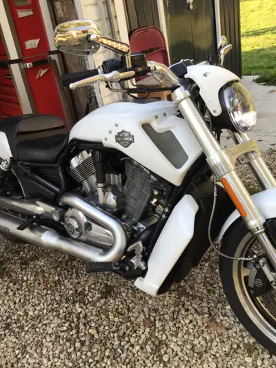 Fork seals leaking is only issue great looking running drives awesome 260 rear kn filter newer light...