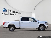 2024 Ford F-150 XLT Crew Cab 2024 Ford F-150 XLT Crew Cab Vehicle Highlights: Navigation Apple Carpl... (image 6)