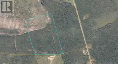 Great investment potential on 53 acres of land. Possibilities are only limited by your imagination V...