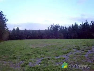 Très tranquille et paisible. 2 terrains combinés en 1. Possibilité de rediviser en deux terrains. Se...