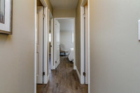 3-Bedroom Townhouse for $2,395/month! Available August 1st! Ideally situated on one of Kingston's ma... (image 3)