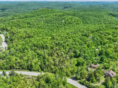 Grande terre de 56 acres soit 2,423,514.91 pc, zoné blanc résidentiel donc construisible. Tout le cô...