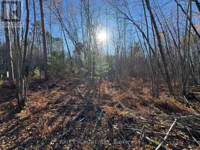 Build your Dream Home today!!! This majestic 4.87 acre lot offers serenity and opportunity to create...