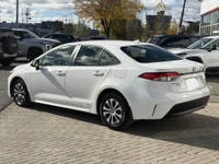 Tous nos véhicules d'occasions sont des RETOURS DE LOCATION ainsi les VÉHICULES DE NOS CLIENTS dont... (image 3)