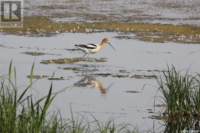 6 Bronco DRIVE Big River Rm No. 555, Saskatchewan in Houses for Sale in Meadow Lake - Image 38