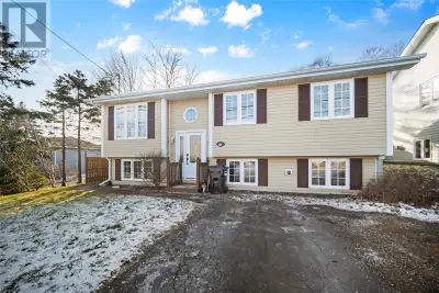 In the heart of St. John’s, it’s rare to find a home where everyday convenience meets a backyard tha...