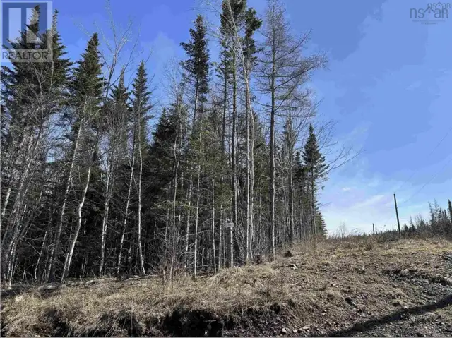 Lot 16 - Lower River Road Grantville, Nova Scotia in Land for Sale in Cape Breton - Image 14