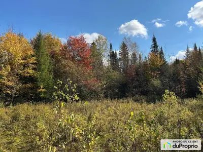 Plus d'un acre du terrain plat sur le Petit lac Long (150 pi sur le lac) à Sainte-Agathe-des-Monts....