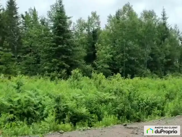 $119,000 - Residential Lot for sale in St-Honore-De-Chicoutimi in Land for Sale in Saguenay - Image 2