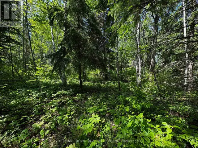 UNORGANIZED - PCL 13187 BANNERMAN TWP Hearst, Ontario62863792273666124