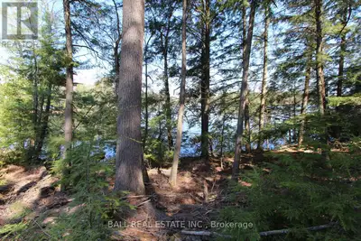 The Cathacoma/ Mississauga Lake system is made up of a chain of seven interconnected Lakes north of...