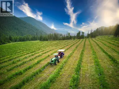 Discover Echo Haskap Farm, a rare 165-acre natural sanctuary located in a pristine valley near Echo...