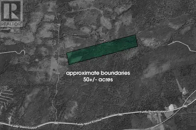 50-acre parcel near Amherst. Access via ROW only. Good place for an off-grid retreat, hunting, or fu...