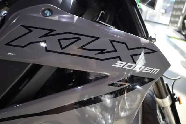 2025 Kawasaki KLX300 SM Grey in Street, Cruisers & Choppers in Edmonton - Image 6