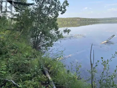 BEAUTIFUL CHILCOTIN! WATERFRONT 0.66 acres Clearwater lake frontage leased land with cabin. Kitchen/...