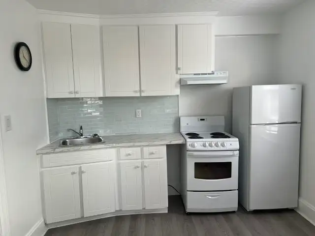 Bright, Fully Furnished Bachelor Apt for Rent