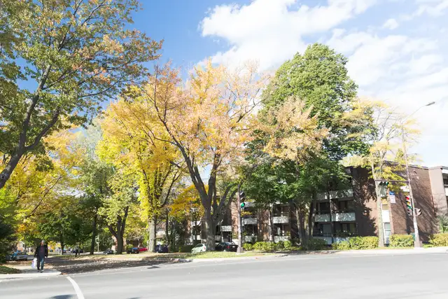 1 1/2 Ste-Foy - Tout inclus - près du cégep Garneau - juillet