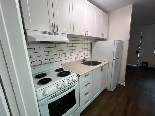 Fully Renovated 1 Bedroom Suite — All Inclusive in Long Term Rentals in Sarnia - Image 11