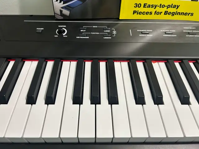Alesis Concert 88-key Digital Piano w Stand in Pianos & Keyboards in City of Toronto - Image 4