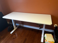 Vivo Electric Standing Desk (like new!)