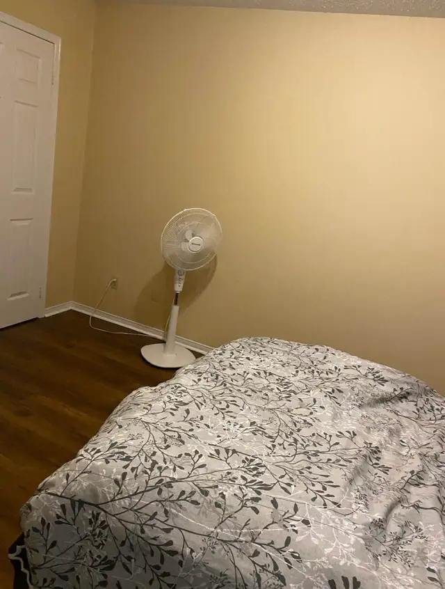 Room for rent in Room Rentals & Roommates in Mississauga / Peel Region - Image 4