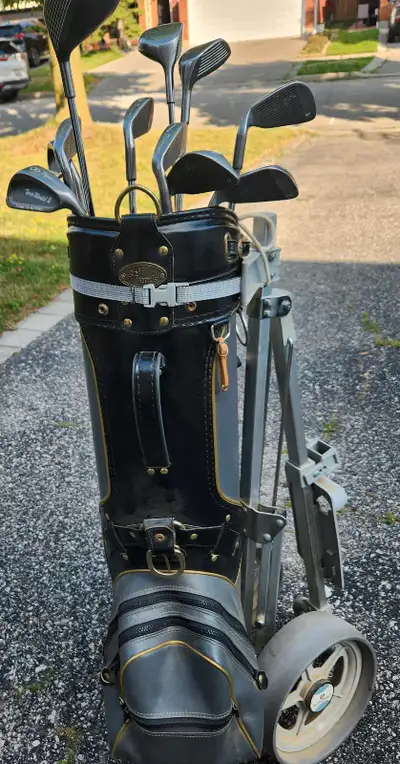 11 clubs bag and cart . Sold as set. Great set for beginners