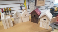 Bird Houses & Woodworking Kits