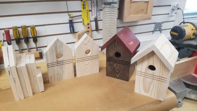 Bird Houses & Woodworking Kits in Activities & Groups in Edmonton