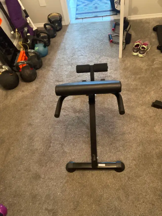 Roman Chair/ Back Extension Bench in Exercise Equipment in Penticton - Image 2
