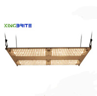 Growlight lampe 480W KingBrite 