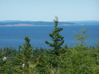 60 Acres, Overlooks Bay, Frontage on Small Lake