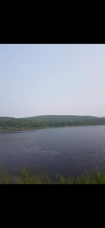 Land for sale Haliburton62863756865921122