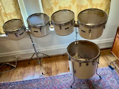 Vintage Concert Tom Set 10,12,13,14,16 MIJ, View more