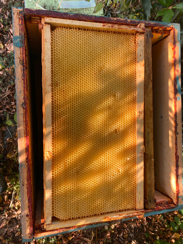 Beekeeping equipment for sale, Terrace,BC in Hobbies & Crafts in Terrace - Image 4