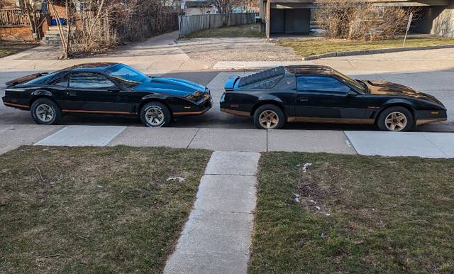 Super Rare 1982 Recaro Hurst Manual 4 Speed V8-H.O. Trans Am in Cars & Trucks in Hamilton