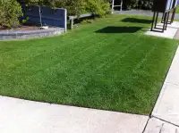 Lawn mowing services / grass cutting in Oakville