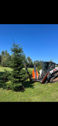 Lot clearing / clean up, Danger tree removal, trail clearing