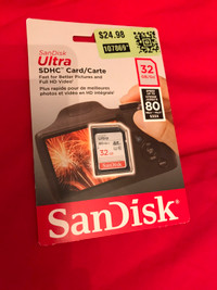 32 GB ScanDisk for pictures and videos 
