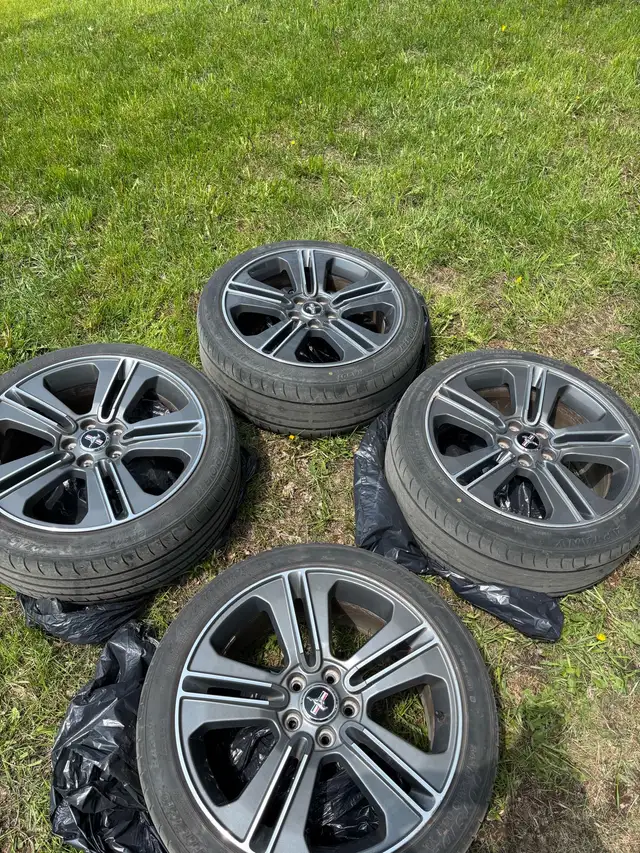 mustang mags 19” in Tires & Rims in Longueuil / South Shore - Image 6