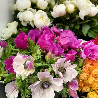 Bulk Flowers, Wholesale Prices, View more